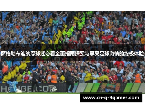 萨格勒布迪纳摩球迷必看全面指南探索与享受足球激情的终极体验